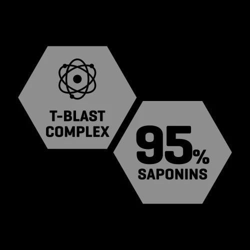 Anatest 60 tablets