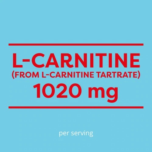 L-Carnitine 1020mg 120capsules