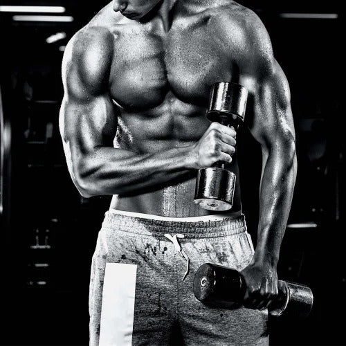 BCAA 8:1:1 - 10.6 oz